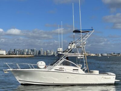 Albemarle 280 Express Fisherman