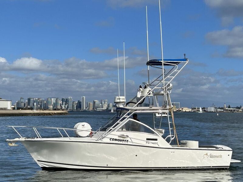 Albemarle 280 Express Fisherman