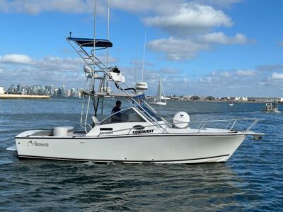 Albemarle 280 Express Fisherman